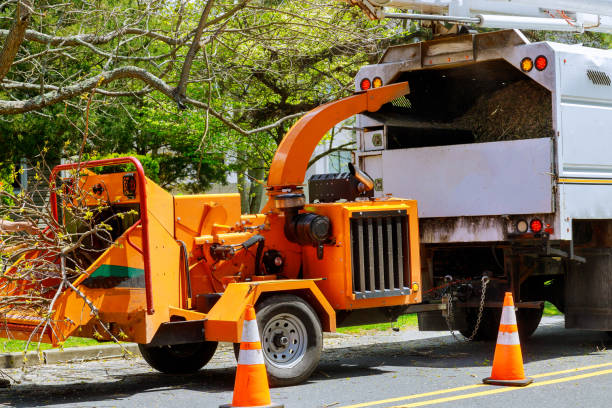 Best Arborist Consultation Services  in Maple Glen, PA